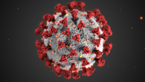 Coronavirus structure viewed microscopically